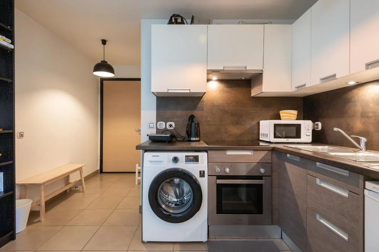 Maveria Furnished Flat Apartment Annecy